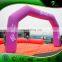 2016 Hot Popular Pink Inflatable Arch / Attractive Giant Advertising Inflatable Archway For Wedding