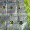 black weed stop cover weed mat / plastic fabric ground cover for greenhouse weed control with uv stabilizer