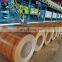 color  ppgi coils japan ppgi sheets/ grain oriented electrical steel coil nice discount