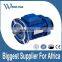 MS Series Three Phase Electric Motor(ABB)