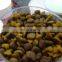 Puppy Dog Food Machine small pet treats chew gum feed processing line