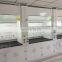 Lab Furniture Steel Structure Fume Hood