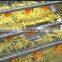 Factory Machinery Potato Chips Making Plant Potato Flakes Production Line Price