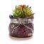 Vintage succulent fortune tree with bottom TOEFL bag hair terracotta flower pot