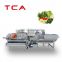 China Fruit Vegetable Cleaning Commercial Washing Machine Price fruit and vegetable