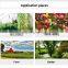 Sticky Fly Sticker Board Healthy Fly Killer Hanging Fruit Fly Glue Yellow Board