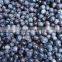Sinocharm BRC A Approved Bulk Wild IQF Frozen Blueberry Prices IQF Blueberry