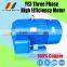 YE3 Series High Efficiency Three-phase Asynchronous Motor YE3-80M1-2