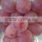 2016 new crop fresh red grape