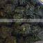 Frozen high quality vegetable Bulk Organic spinach from China