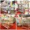 Automatic poultry broiler feeding system for farming