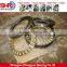 Chinese Brand Bearings Thrust Roller Bearing Shock Absorber Bearing