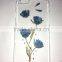 PC or TPU unique dry pressed real flower phone cover case for Iphone 6plus