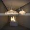 Beautiful Silkworm for Hotel Lobby Chandelier Lighting