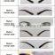 Hot!!! High Quailty Eyebrow eyebrow