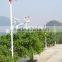 Hot Sales wind solar hybrid power system solar street light 60w