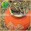 Sun Flower Seed 5009 From China