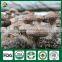 Shiitake Farm,Shiitake Growing,Shiitake Growing Kit