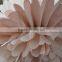 Marriage Room Decorated Paper Garlands Paper Flower Ball Paper pom poms