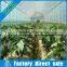 High quality stable structure single span venlo greenhouse for sale