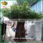 Customized artificial banyan tree fiberglass artificial banyan tree