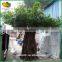 Decorative tree artificial banyan tree fiberglass artificial banyan tree