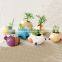 Best Selling cheap bulk gifts DIY mini bonsai return gifts for birthday , indian wedding gifts for guests