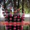 DIY Hanging Tissue Paper Flower Pom Pom Party Garland Decoration