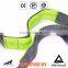 Retractable Hands Free Bungee Dog Running Leash Grey