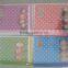 a4 size pp file folder
