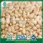 Pine nut