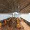 Large span steel structure for poultry house farm steel structure farm warehouse