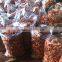 Dried Thai Herbal Medicine Plai Herbal Product (Essential Oil)