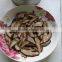 Canned Shiitake Mushrooms Strip/slice