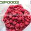 2015 crop IQF raspberry whole high quality