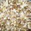 CHINA frozen boletus edulis cut