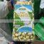 2015 Storing Chinese Fresh Peeled Garlic