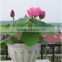 2015 Black Lotus Flower Seed For Growing For Vietnam Quality Promised