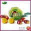 2015 New Crop Organic Fresh Bulk Hebei Chestnuts for Sale