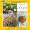Gentian Root Extract from GMP Manufacturer