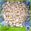 fresh white garlic in brine