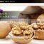 Dried Style walnut kernl, walnut kernels light quarters