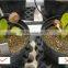 chinese latest technology 90%min soluble humic acid price
