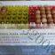 Environmental protection chicken eggs ray transport chicken eggs