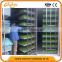 1000kg hydroponic sprout fodder growing system machine