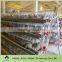 automatic laying cages for quail