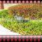 OEM HDPE plastic bird decoy,Fire bird,plastic pigeon decoy,hunting decoy bird