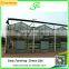 Modern agricultural equipments glass commercial greenhouses