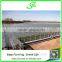 Venlo Glass Cover Metal Frame Greenhouse