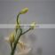 brand name decorative artificial flowers fabric butterfly orchid